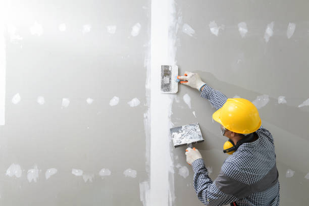 Best Drywall Installation  in Monticello, AR