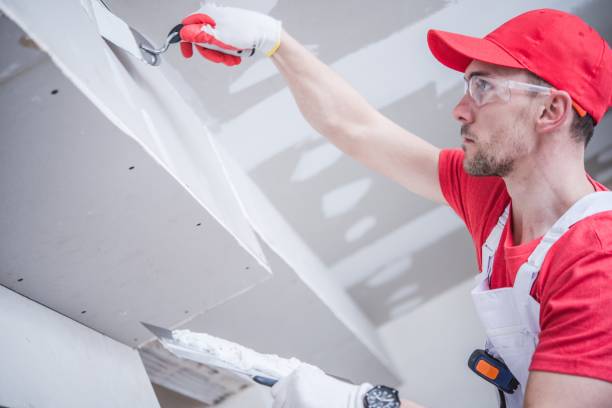 Best Trim and Molding Painting  in Monticello, AR